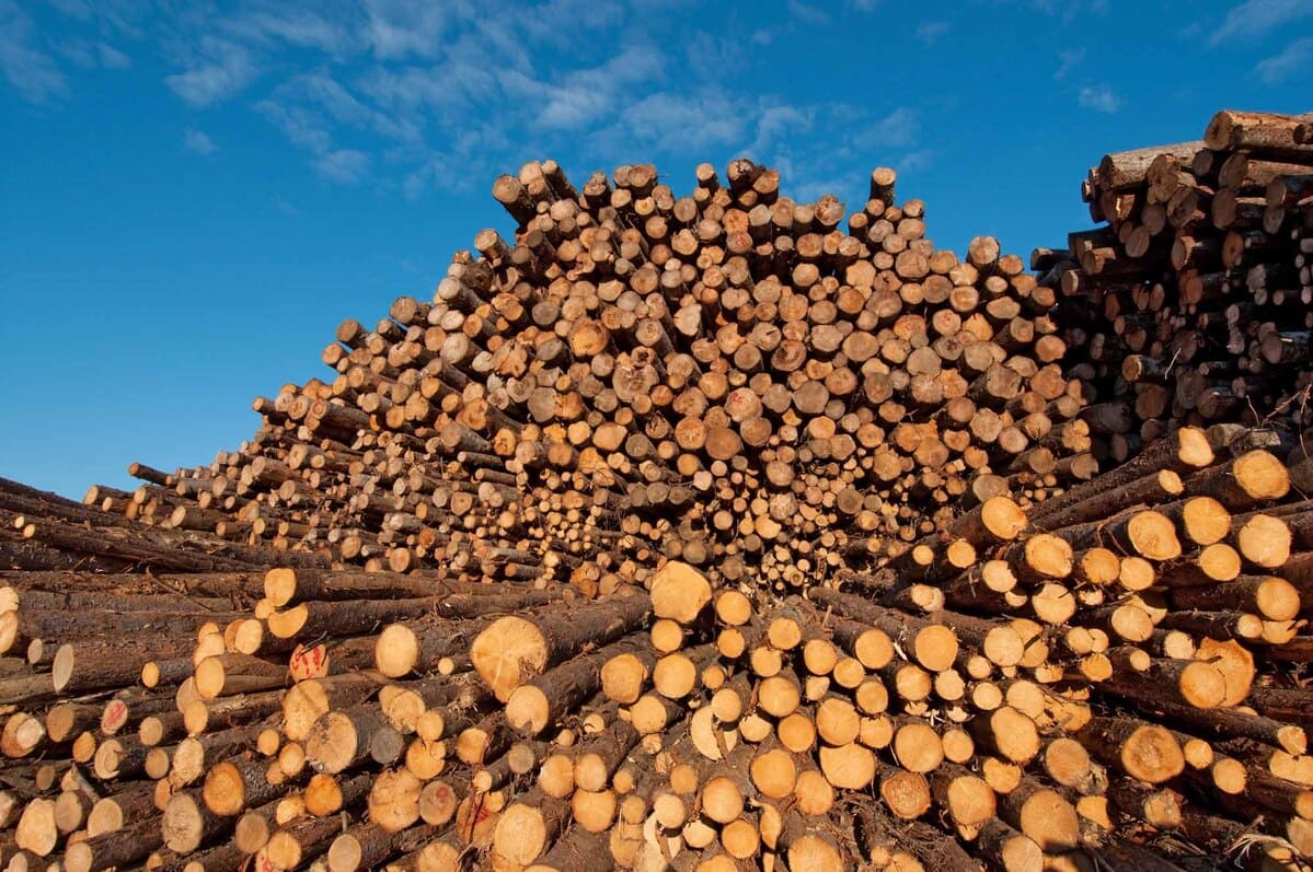 канадские чиновники называют повышение пошлин на древесину хвойных пород несправедливым и неприемлемым