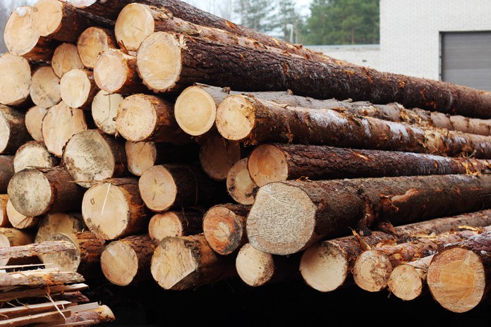 беларуси и россии запретили экспортировать продукцию деревообработки