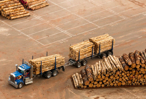 в марте цена экспорта круглого леса из германии выросла на 24%, а объем поставок упал на 29%