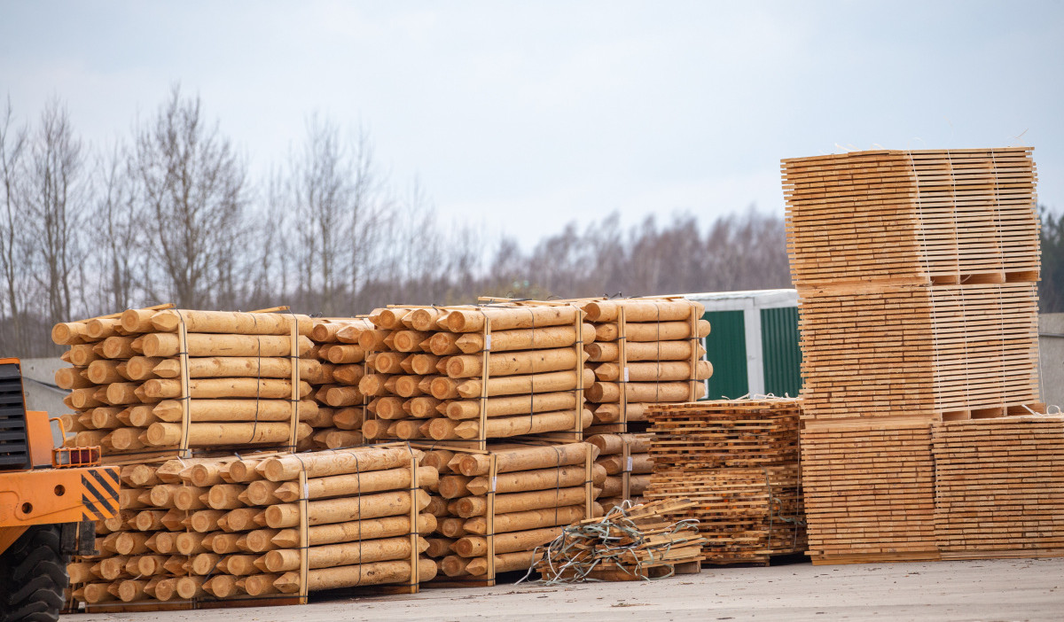драгун: все потоки переработанной древесины, которые шли в евросоюз, охотно готовы приобретать в странах азии