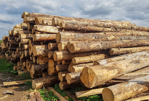 рспп выступил за сохранение субсидий для деревообрабатывающих предприятий