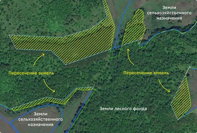 первую в россии региональную цифровую базу данных о землях лесфонда создали в татарстане