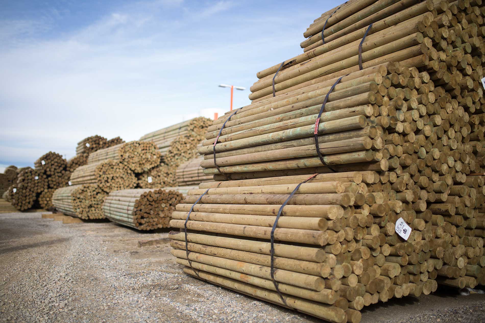 пермский край в полтора раза увеличил экспорт лесопродукции в узбекистан